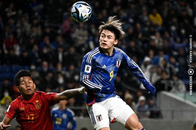 但无疑奠定 但无疑奠定